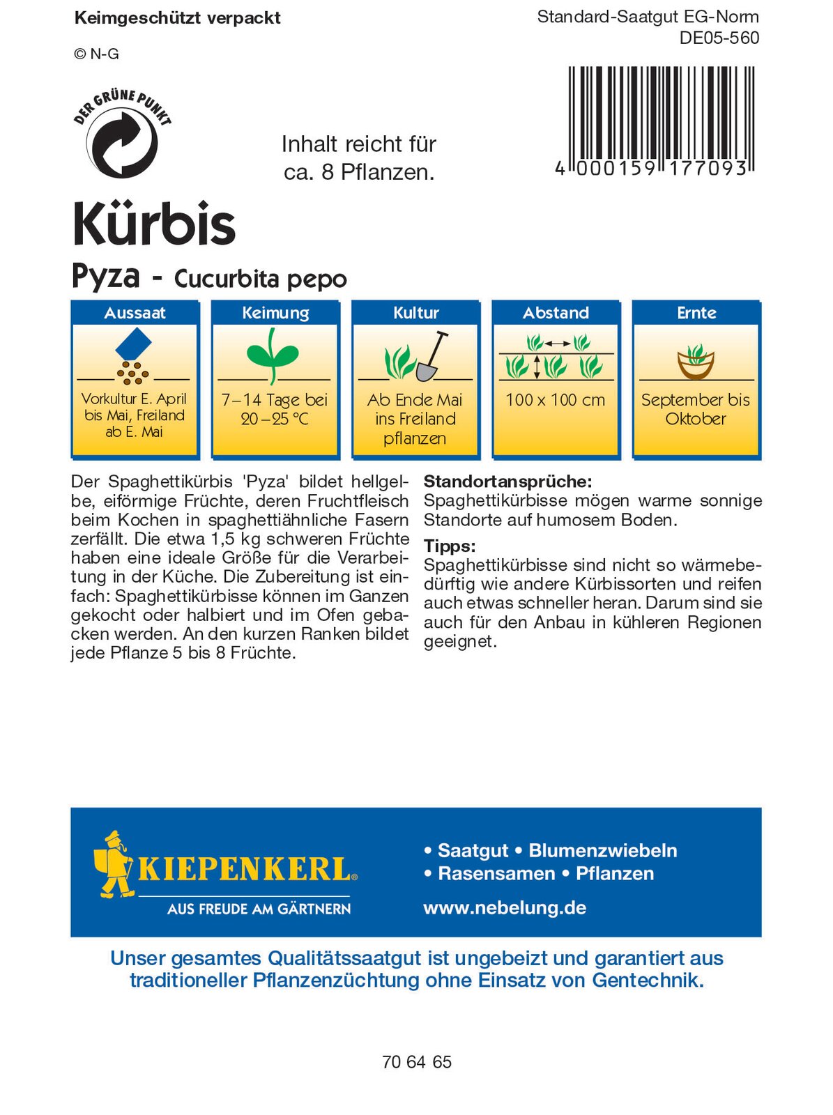 Kürbis Pyza (Spaghettikürbis)