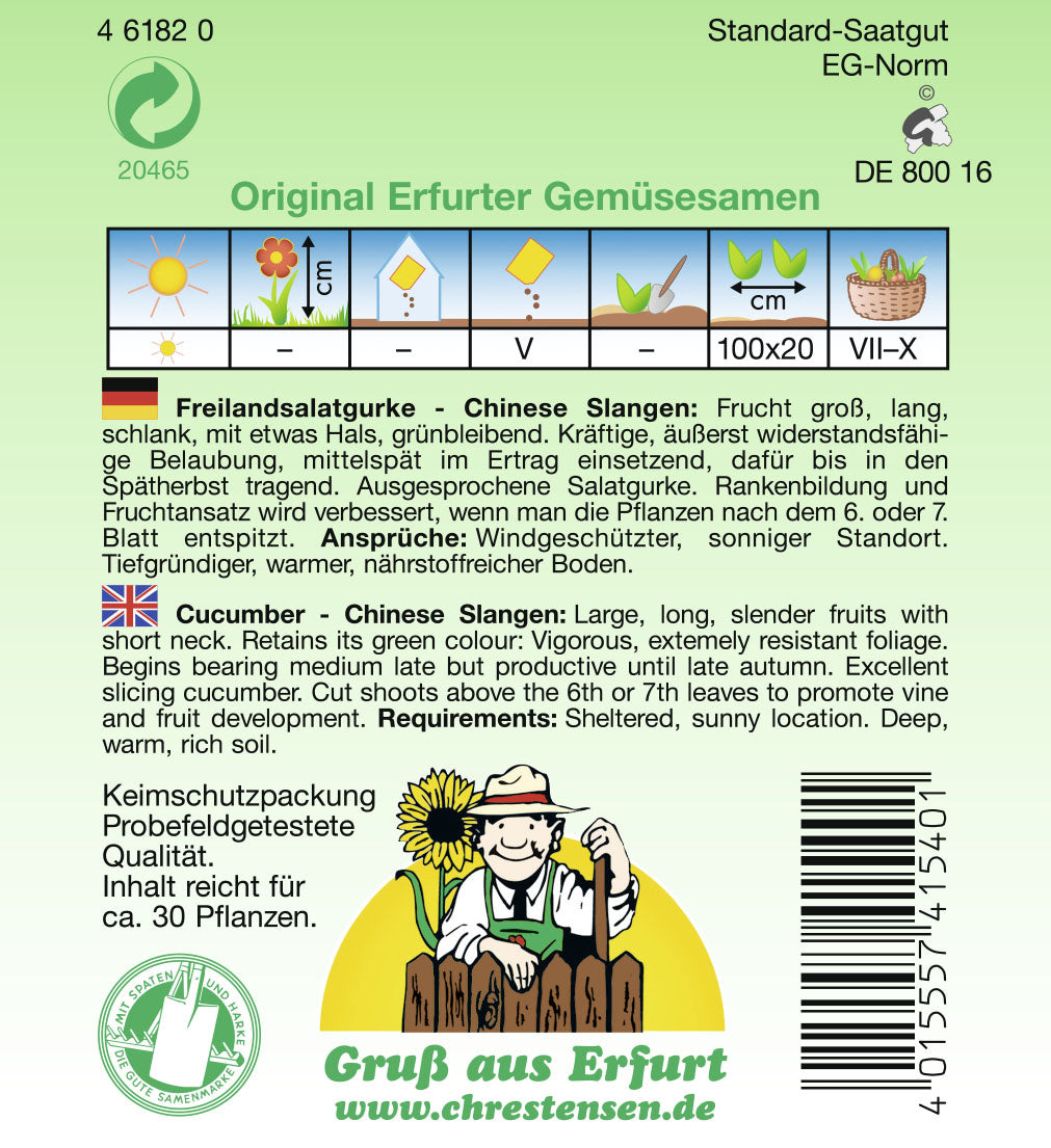 Freilandsalatgurke Longo da China (Chinesische Schlangen )