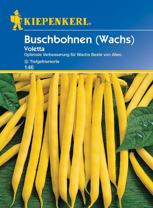 Buschbohne Voletta