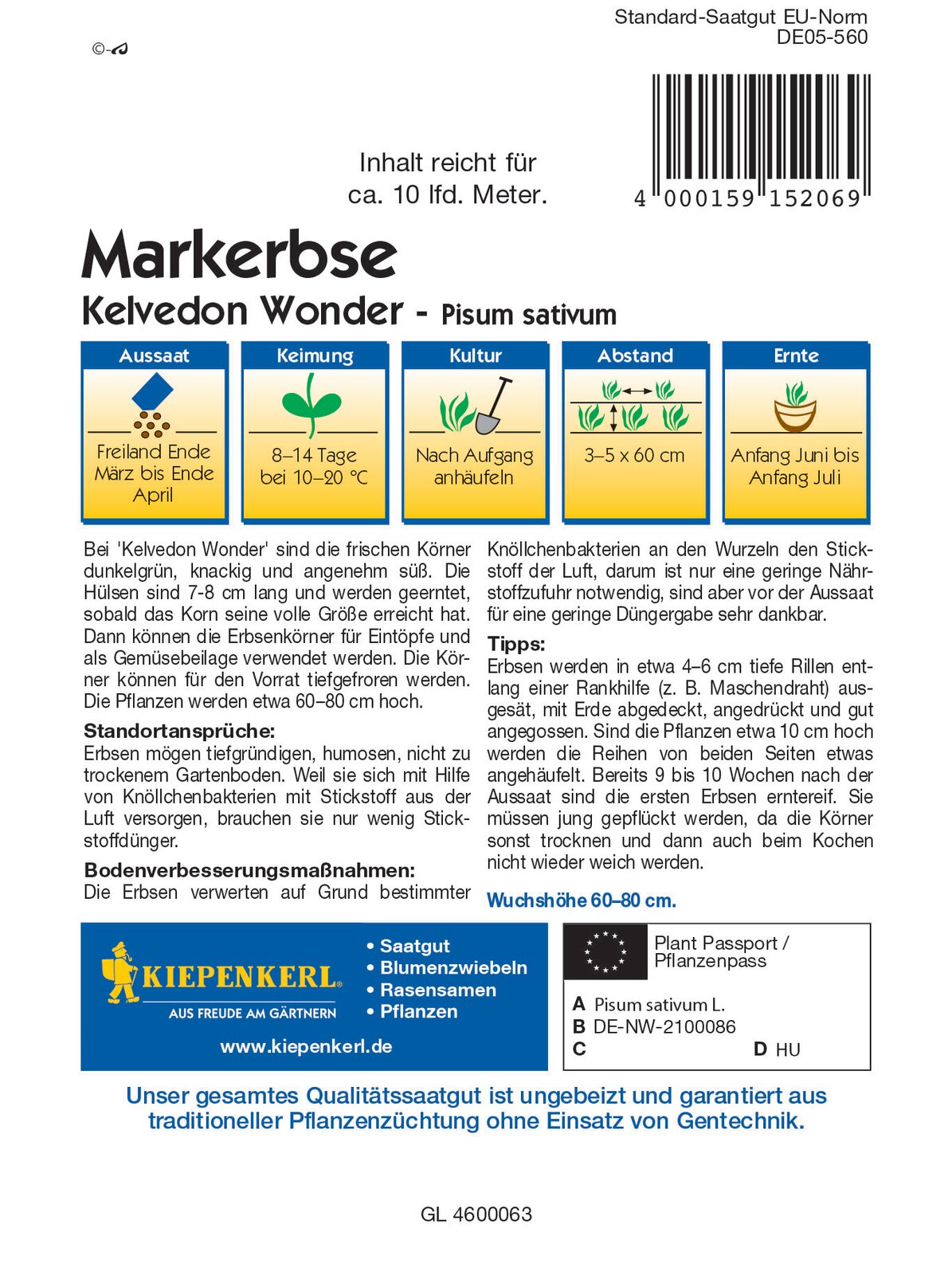 Markerbse Kelvedon Wonder