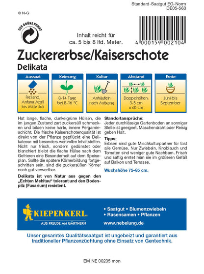 Zuckererbse Delikata