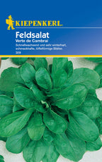 Feldsalat Verte de Cambrai