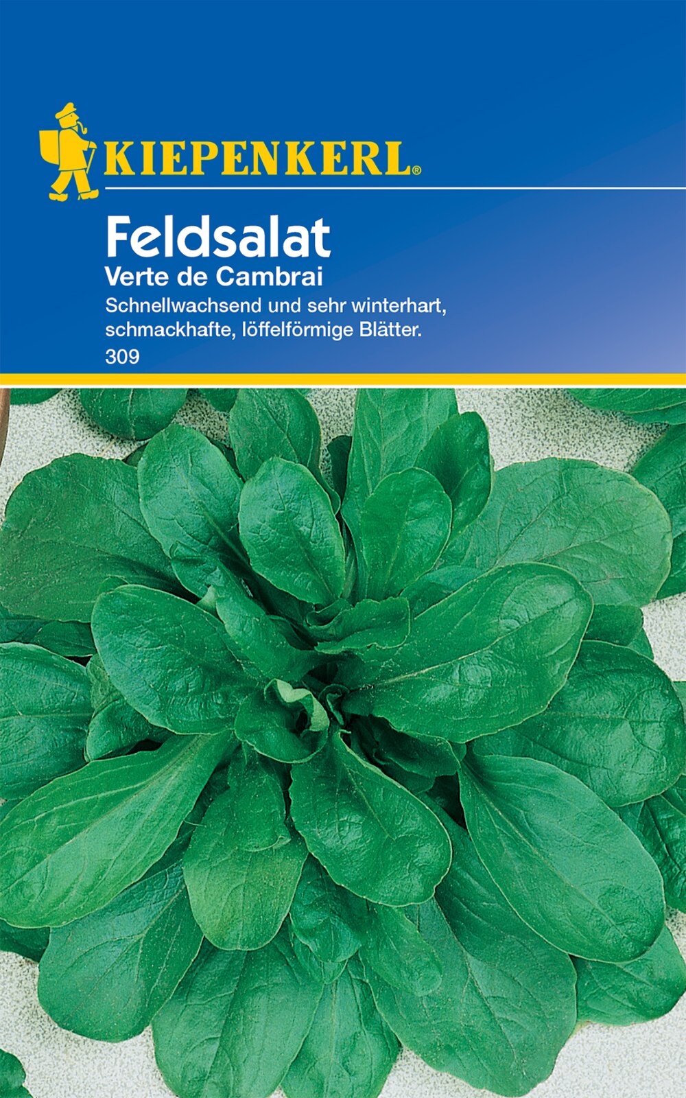 Feldsalat Verte de Cambrai