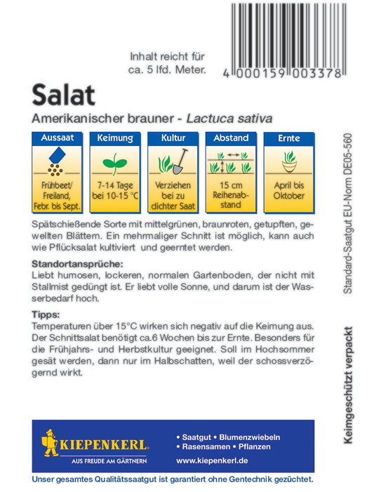 Pflücksalat Amerikanischer brauner