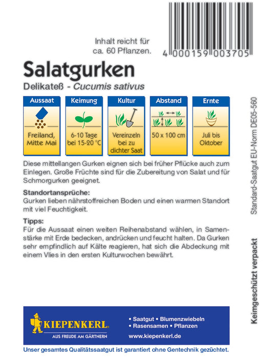 Salatgurke Delikateß