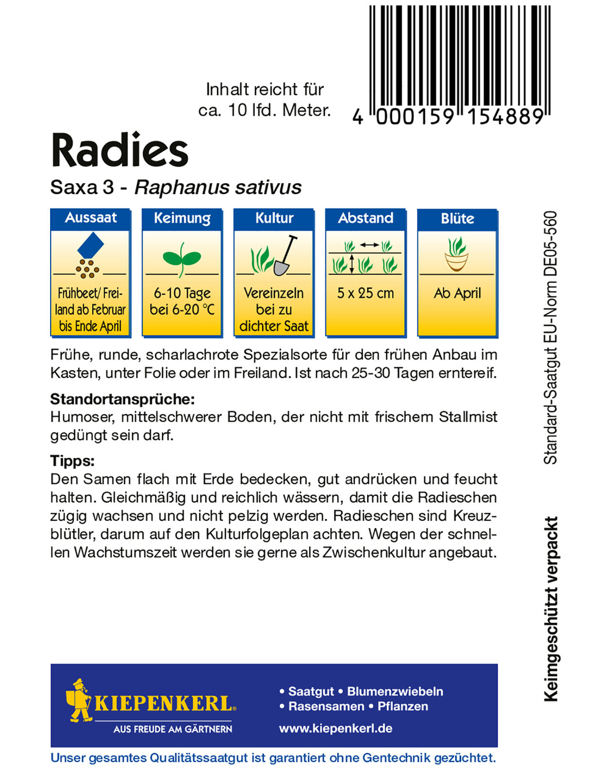 Radieschen Saxa 3