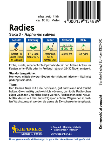 Radieschen Saxa 3