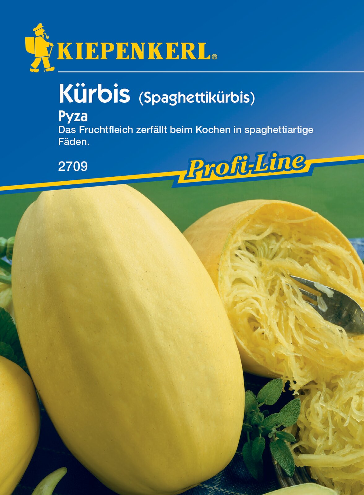 Kürbis Pyza  (Spaghettikürbis)