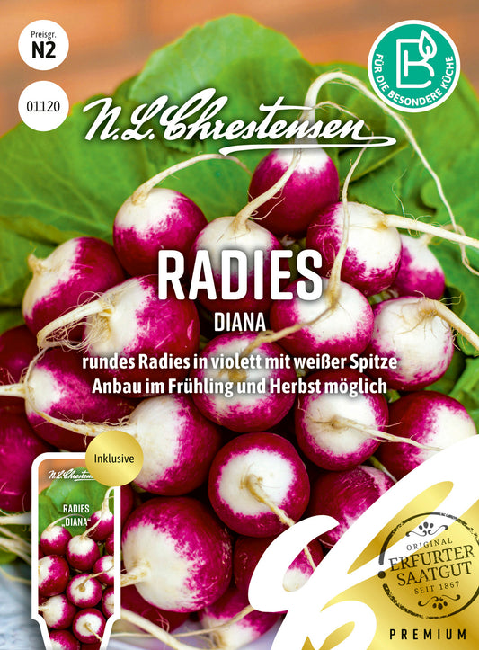 Radies Diana