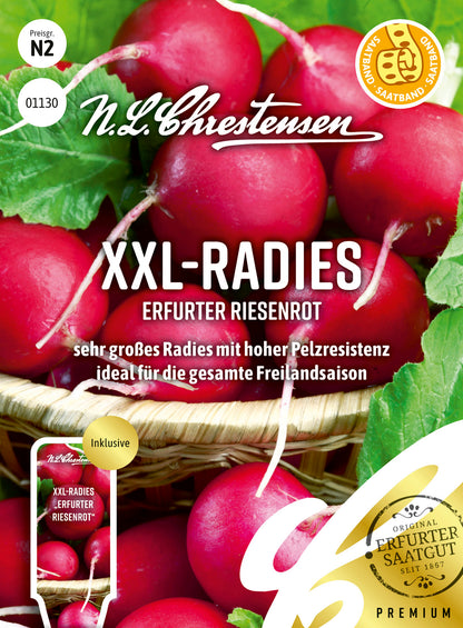 XXL - Radies Erfurter Riesenrot