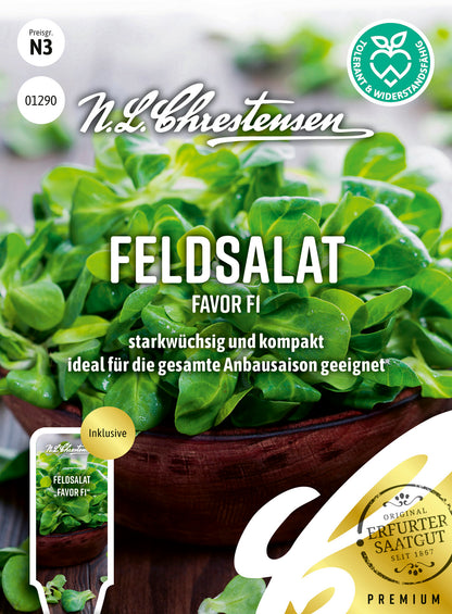 Feldsalat Favor, F1