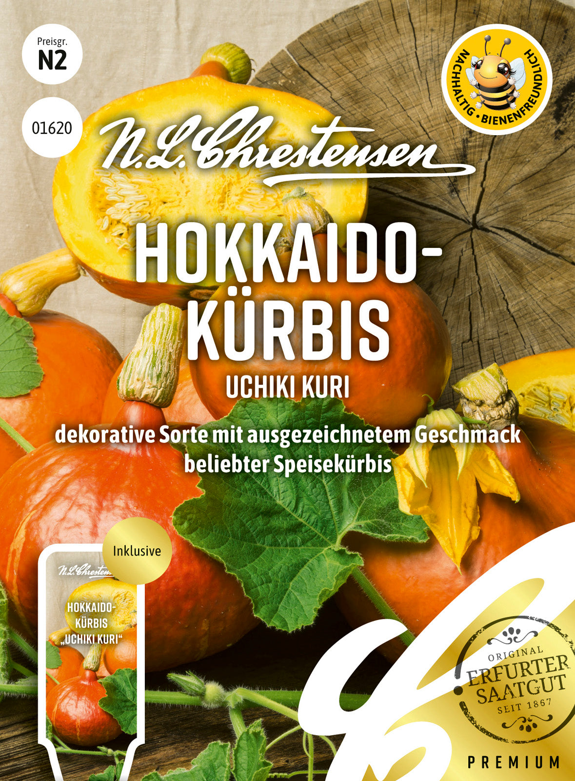 Hokkaido Kürbis Uchiki Kuri