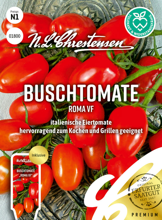 Buschtomate Roma VF