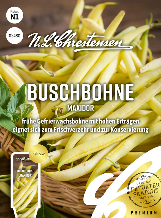 Buschbohne Maxidor