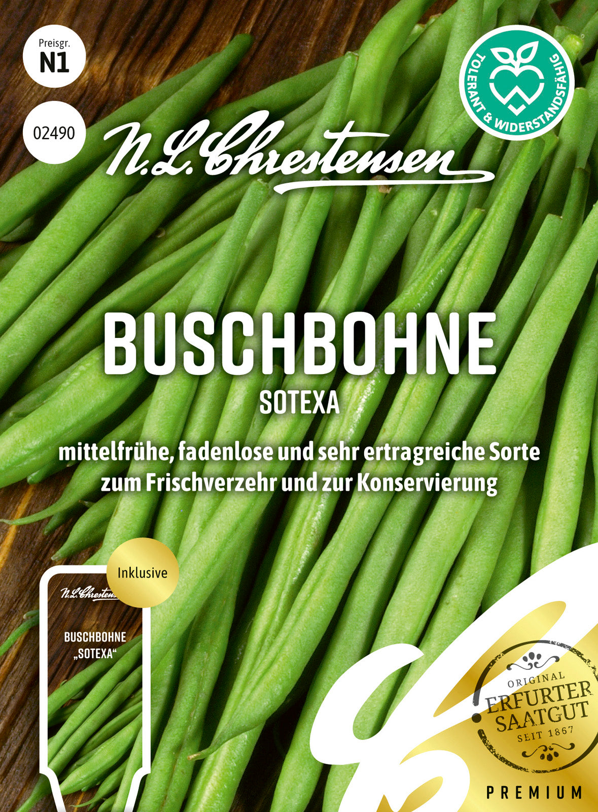 Buschbohne Sotexa