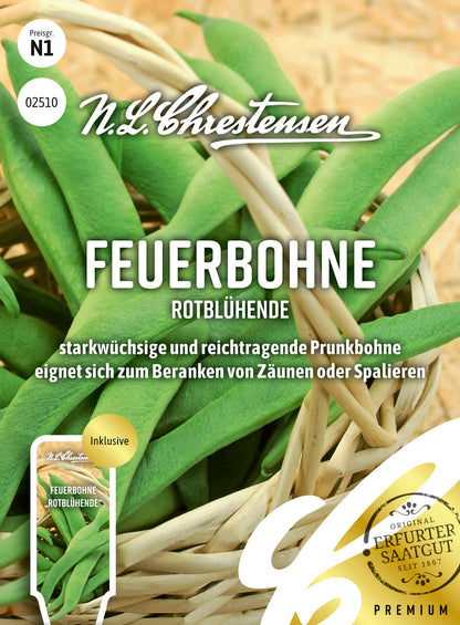 Feuerbohne Rotblühende