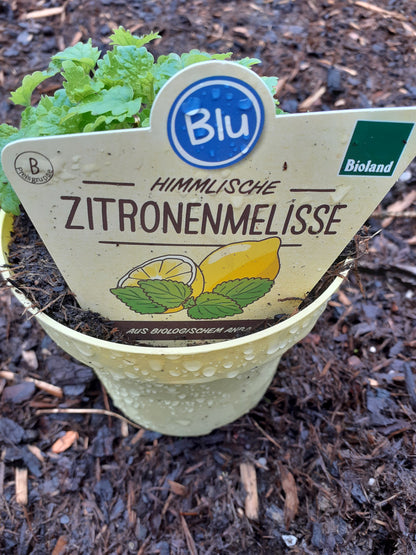 Blu Bio Zitronenmelisse Melissa officinalis