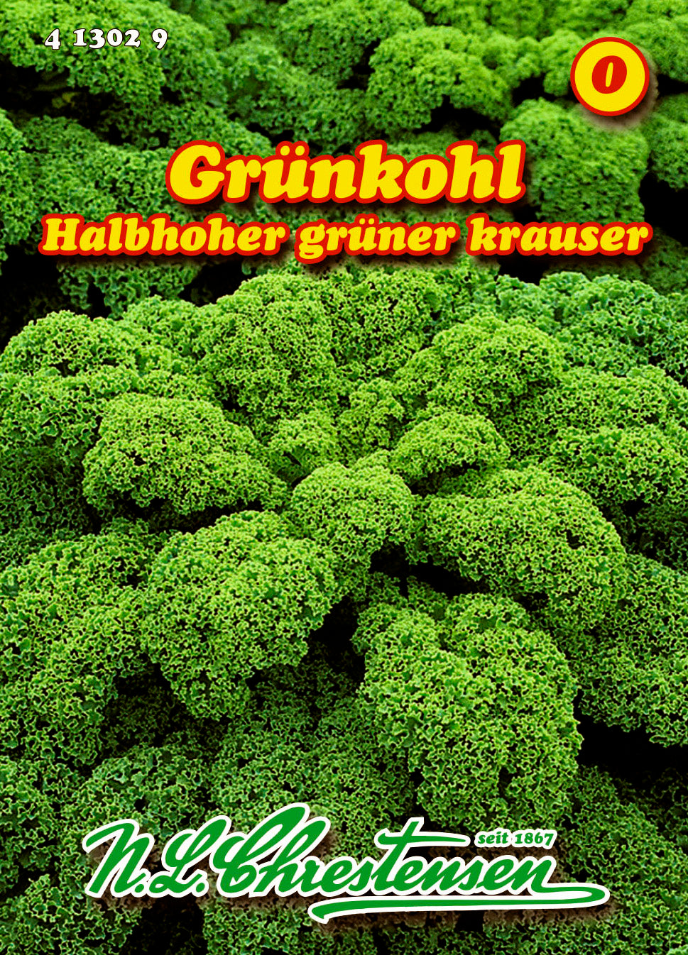 Grünkohl Halbhoher grüner Krauser