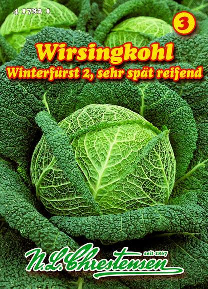 Wirsingkohl Winterfürst 2