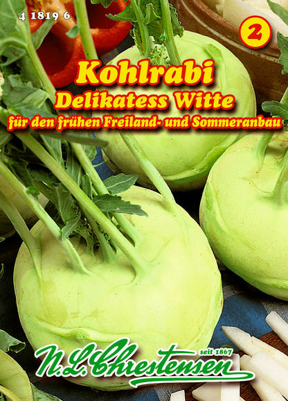 Kohlrabi Delikates Weißer