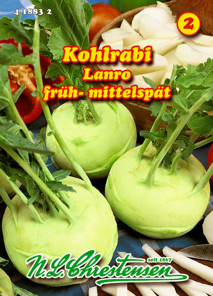 Kohlrabi Lanro