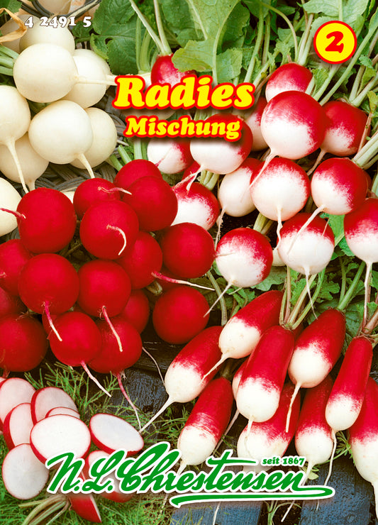 Radies Mischung aus Sorten