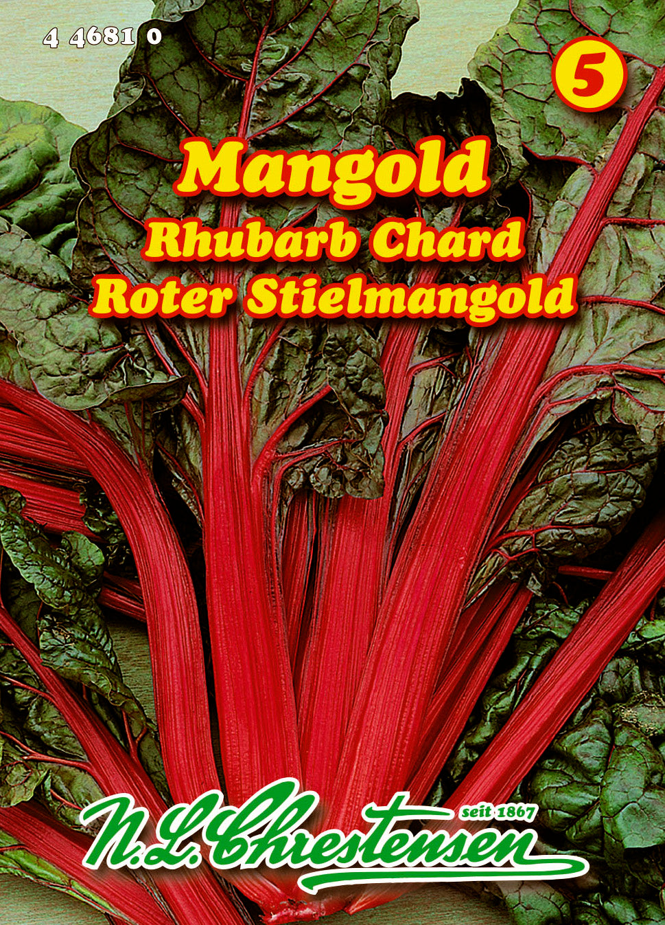 Mangold Rhubarb Chard