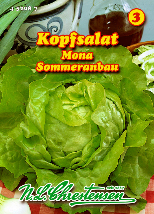 Kopfsalat Mona