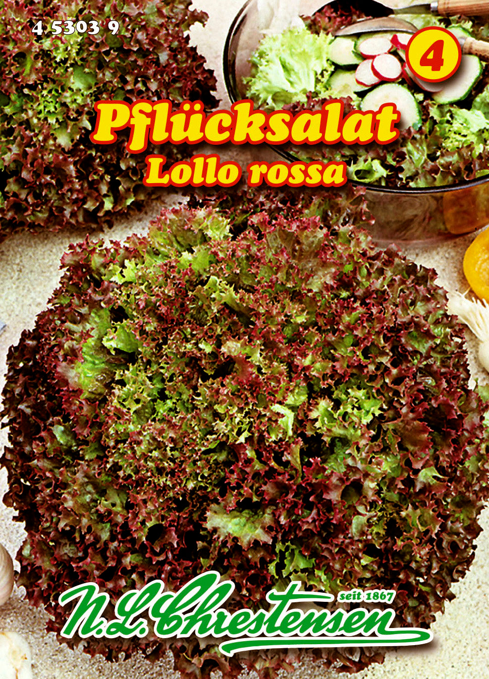 Pflücksalat Lollo Rossa