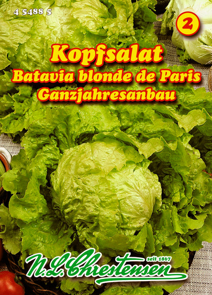 Kopfsalat Batavia blonde de Paris