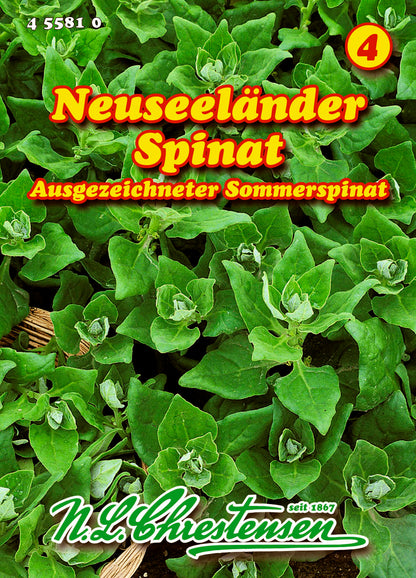 Spinat Neuseeländer