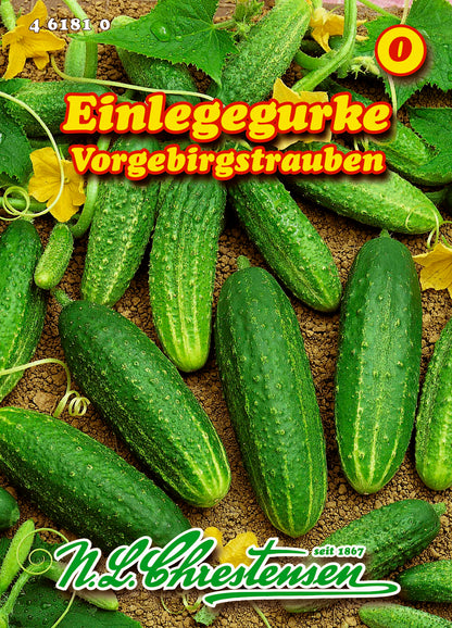 Einlegegurke Vorgebirgstrauben