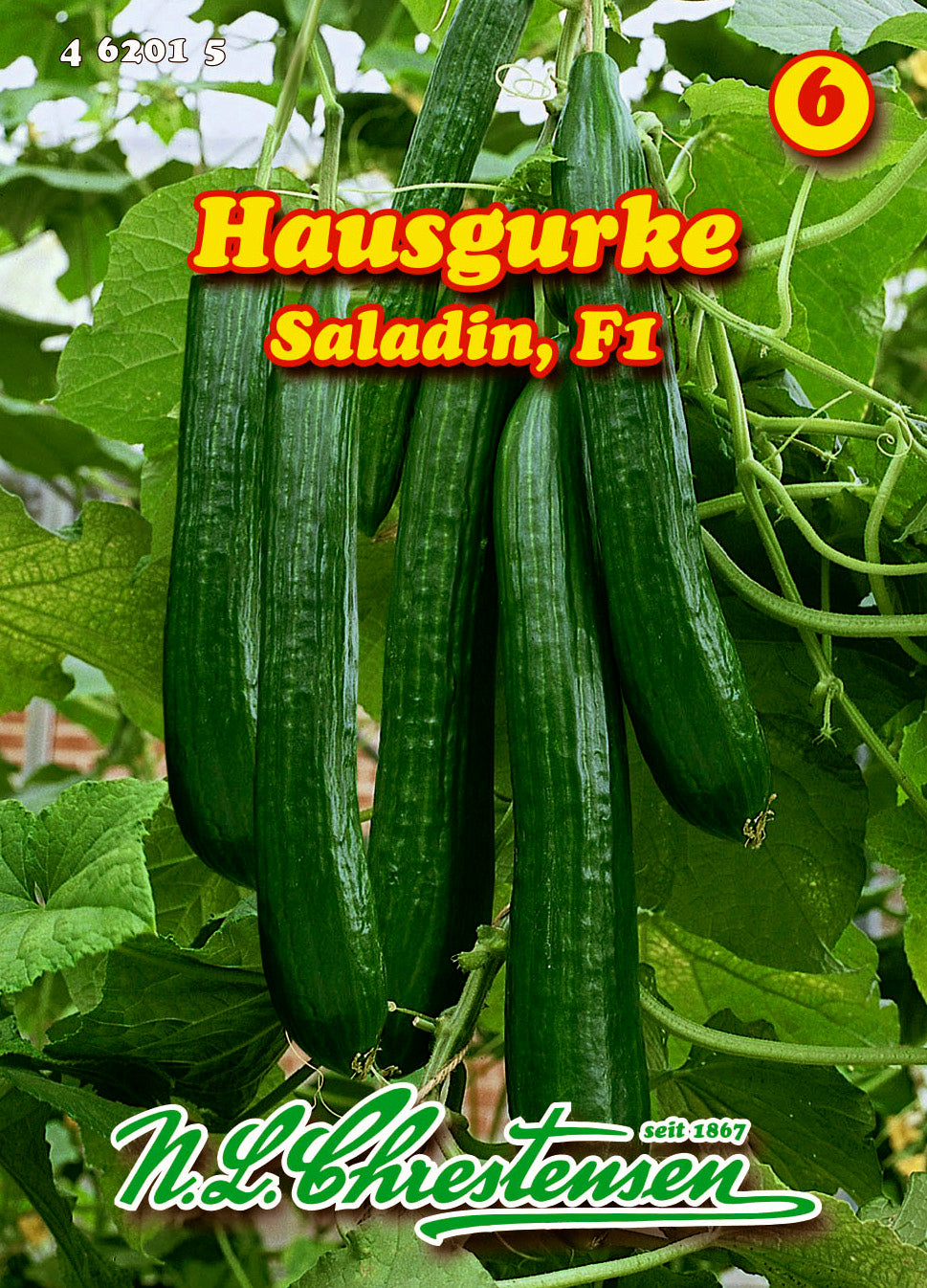 Hausgurke Saladin F1