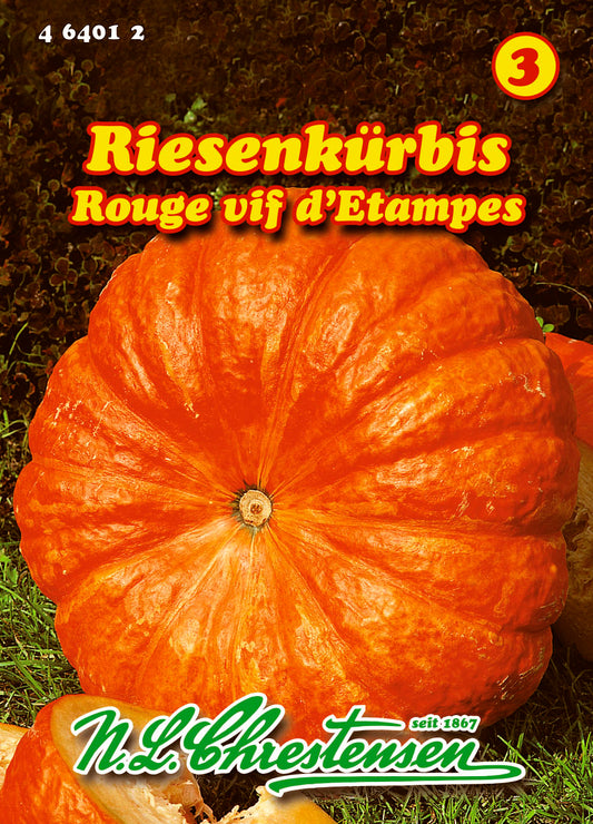 Riesenkürbis Rouge vif d' Etampes