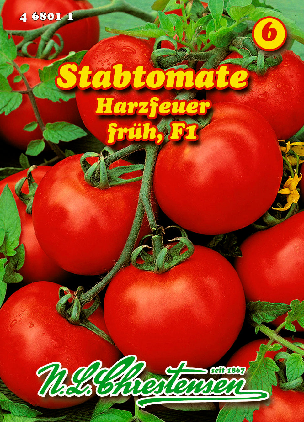 Stabtomate Harzfeuer F1