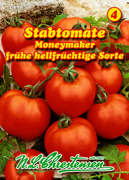 Stabtomate Moneymaker