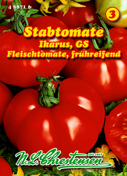 Stabtomate Ikarus