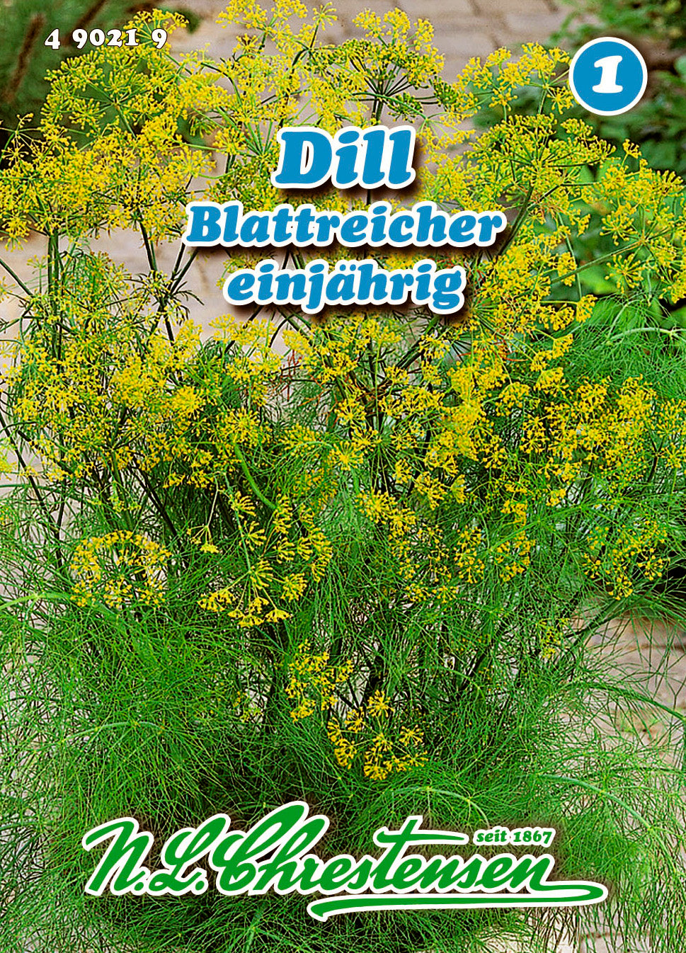 Dill Blattreicher