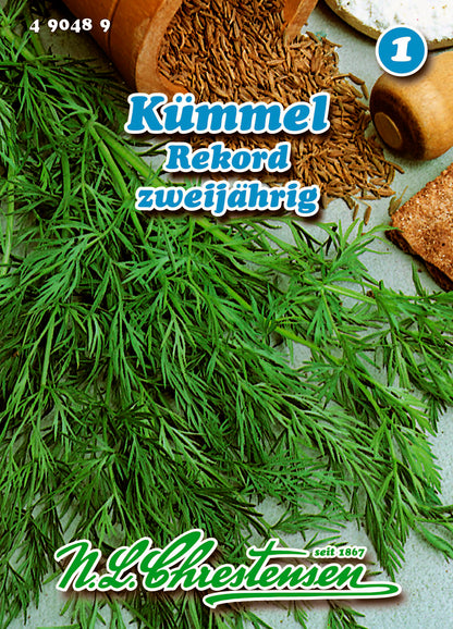 Kümmel Rekord