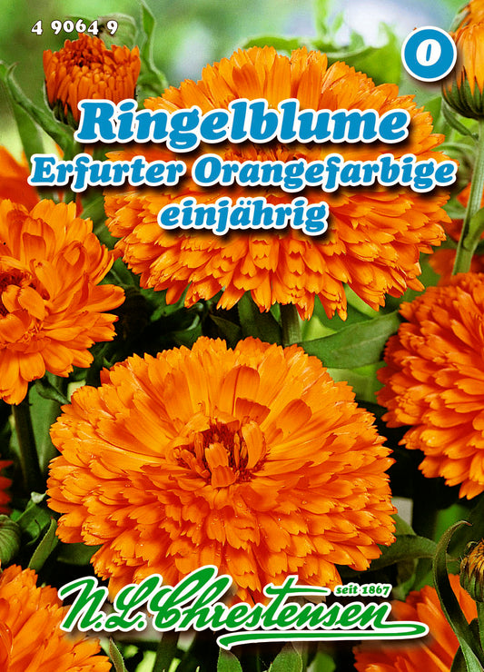 Ringelblume Erfurter Orangefarbige