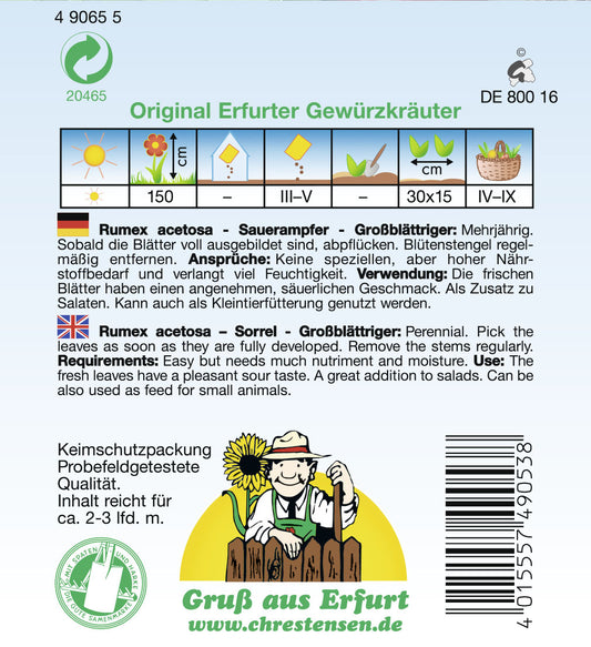 Sauerampfer Großblättriger