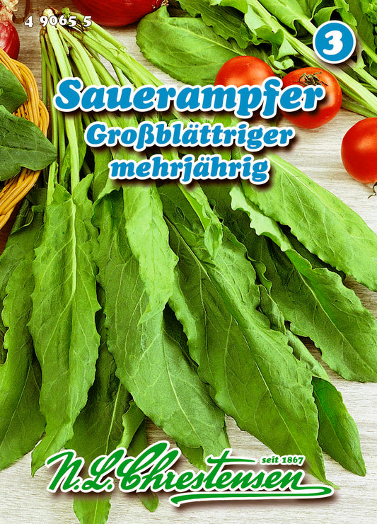 Sauerampfer Großblättriger