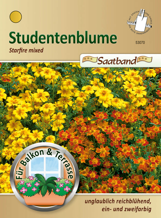 Studentenblume Starfire mixed (Saatband)