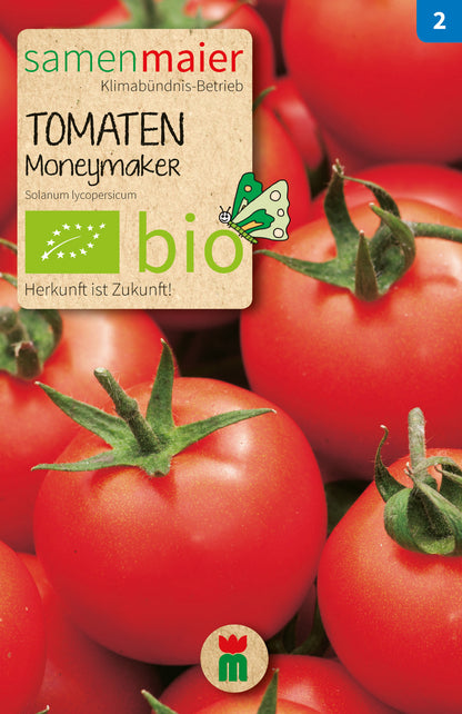 Bio Tomaten Moneymaker