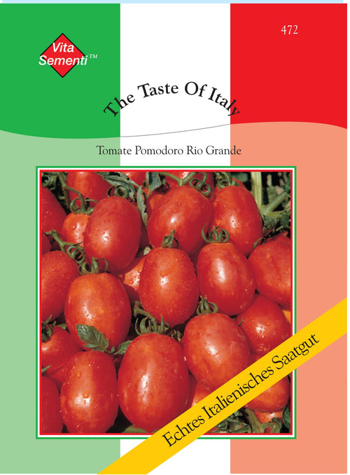 Tomatensamen Rio Grande – ertragreich & krankheitsresistent – Zur  Staudenwelt Schmidt