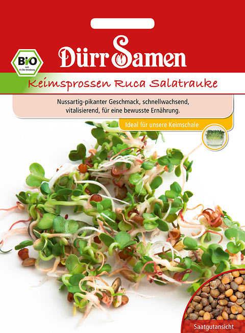 Keimsprossen, Dürr Samen, Saatgut