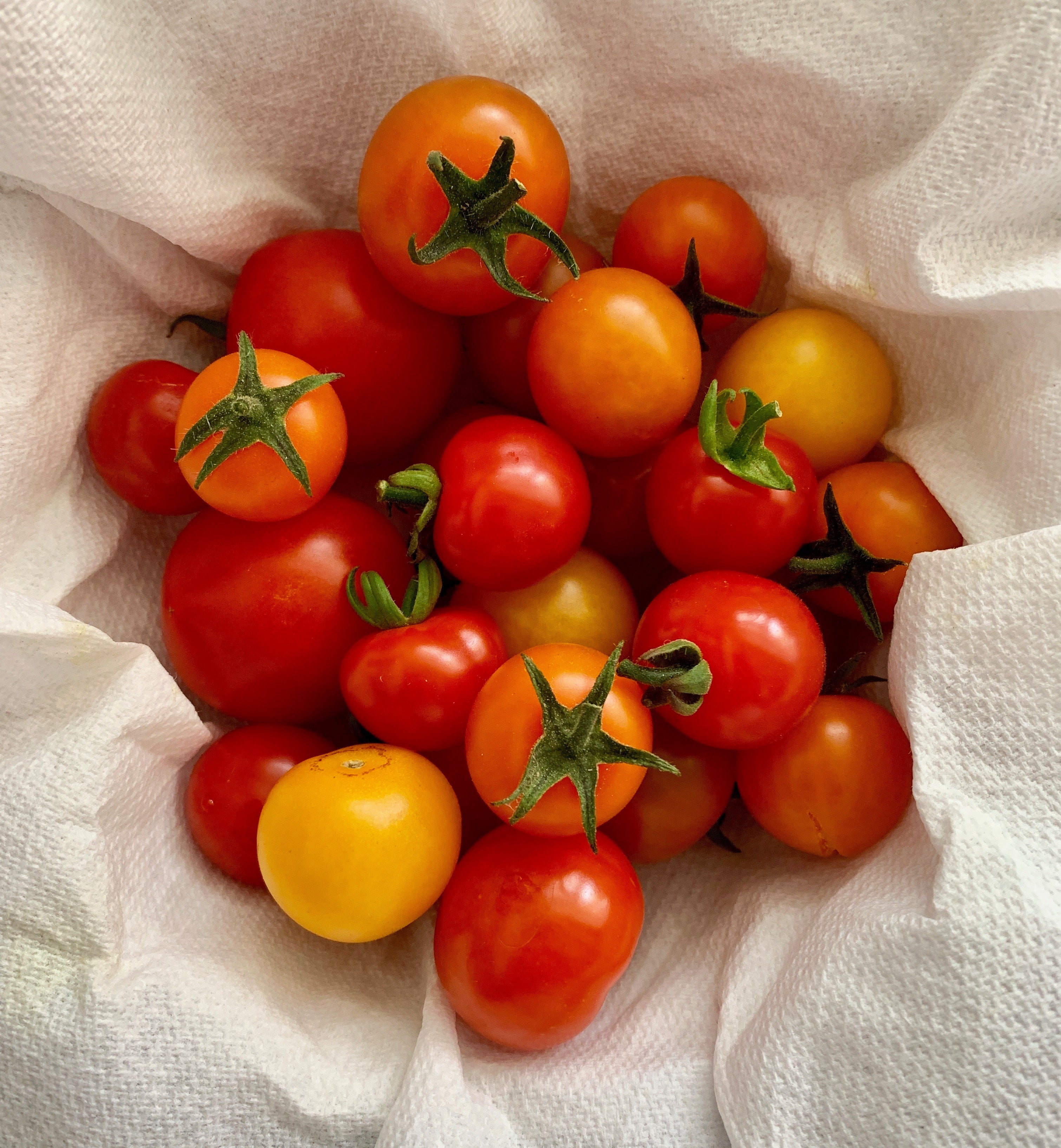 Tomaten